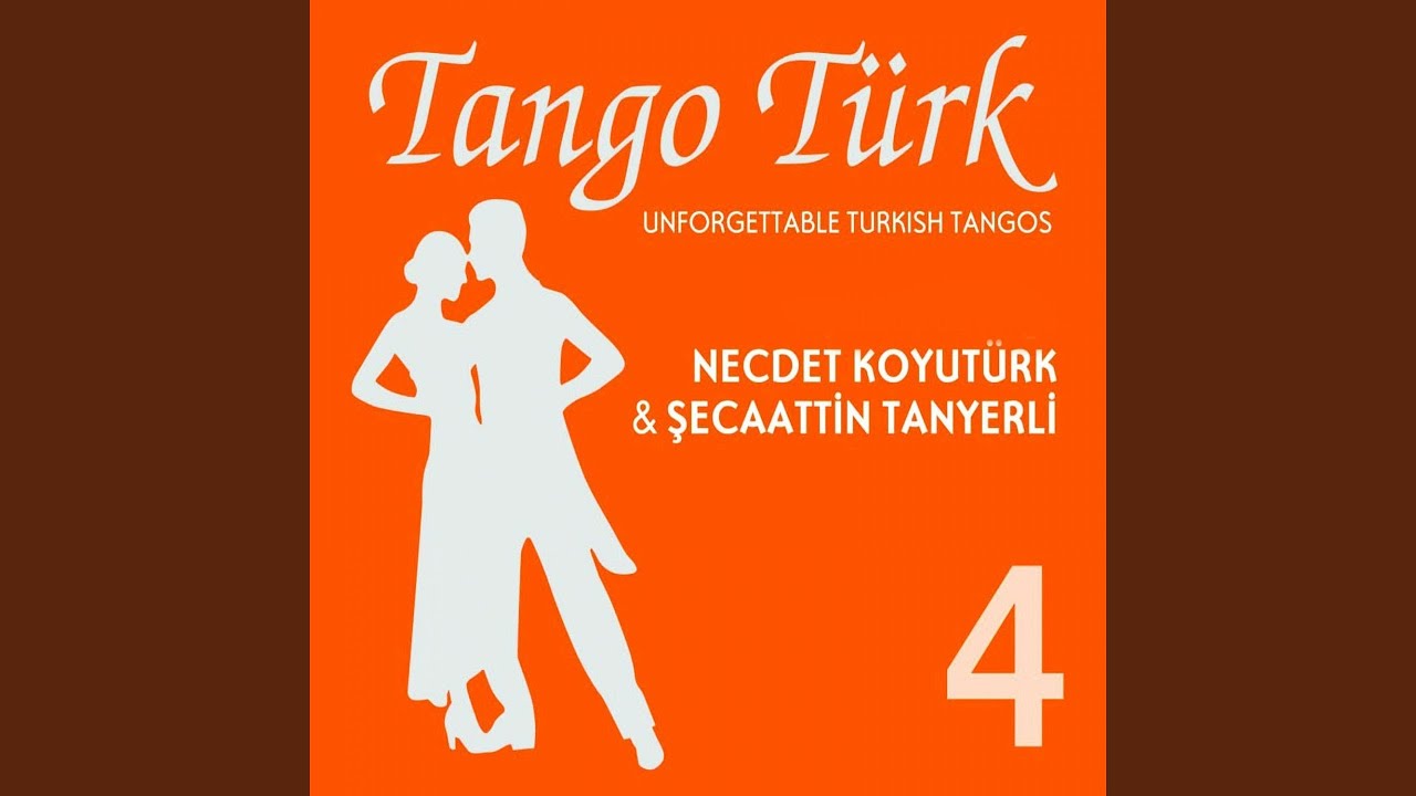 Seven Bilir