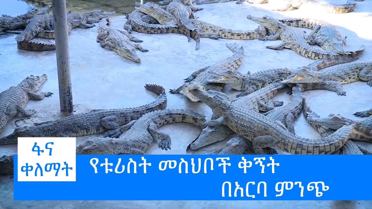 የቱሪስት መስህቦች ቅኝት በአርባ ምንጭ #ፋና_ቀለማት