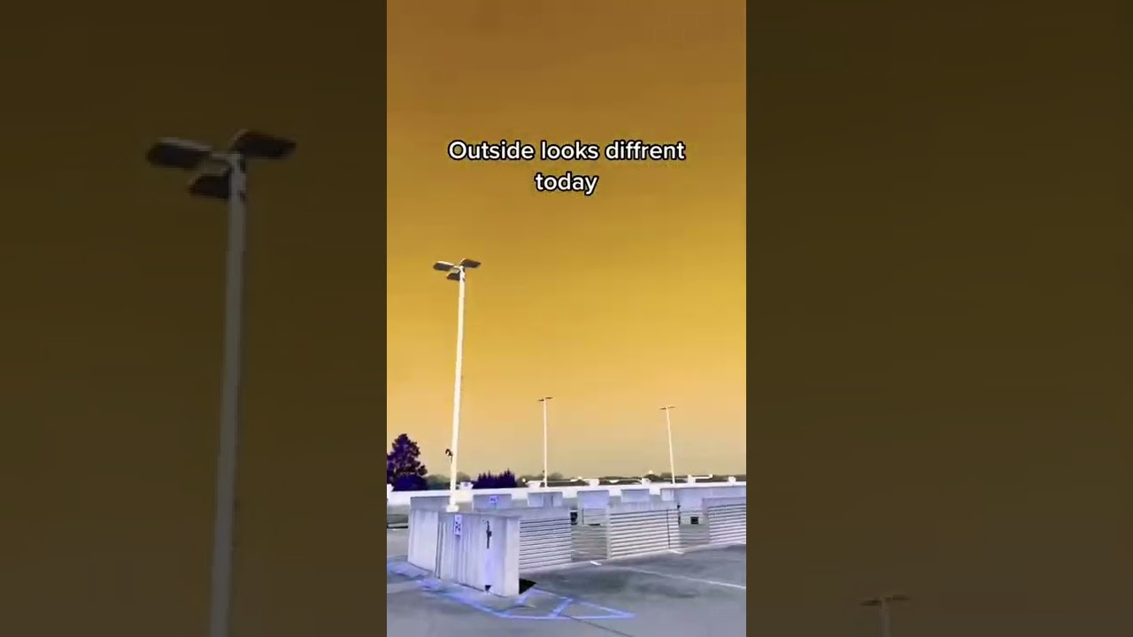 pov: you wake up in Morioh 