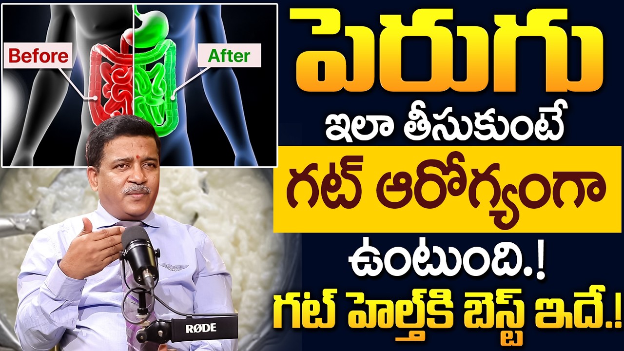 Dr Ananda Kumar - పెరుగు ఇలా తీసుకుంటే గట్ ఆరోగ్యంగా ఉంటుంది.. | Truth About Gut Health | iDream