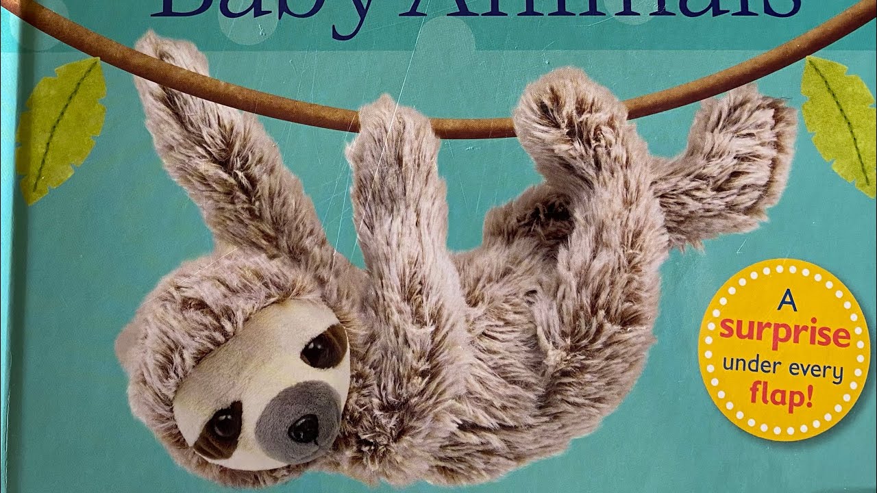 Pop-Up Peekaboo! Baby Animals / Read Aloud