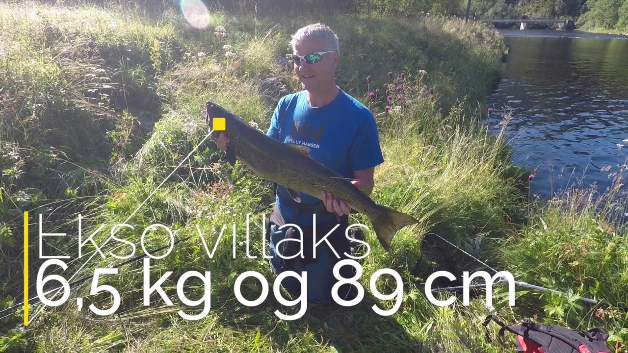 Ekso - ei levande lakseelv
