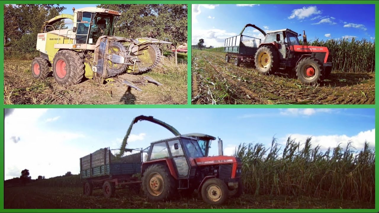 🌽AKCJA KUKURYDZA🌽   💪CLAAS JAGUAR 840💪 4X URSUS💪 2XBELARUS💪 ZETOR💪 RENAULT💪MATBRO💪 WIELKOPOLSKA 2020