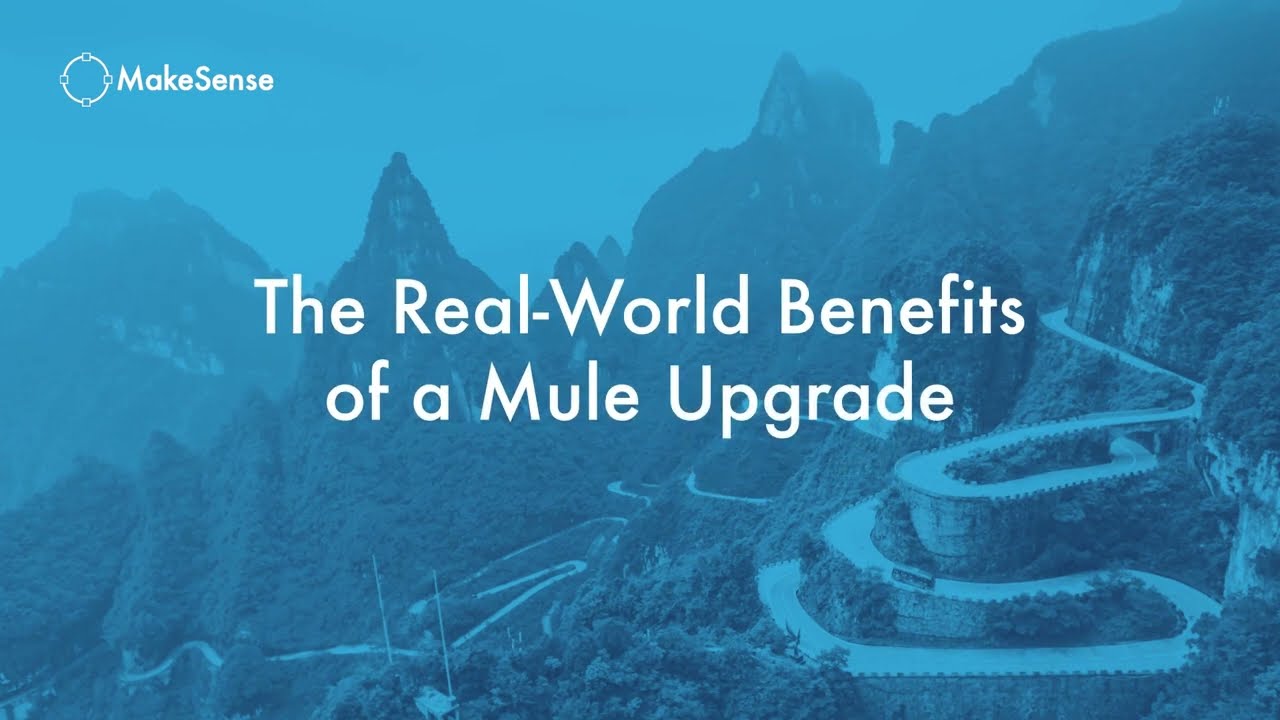 The Real World Benefits of a Mule Upgrade