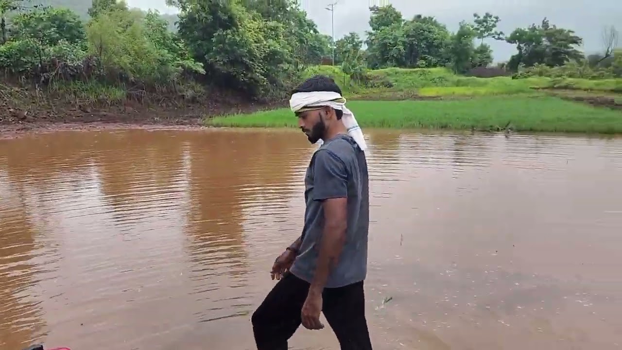कोकण खेड चिंचघर प्रभू वाडी भात लावणी🌾🌾🌾🌾