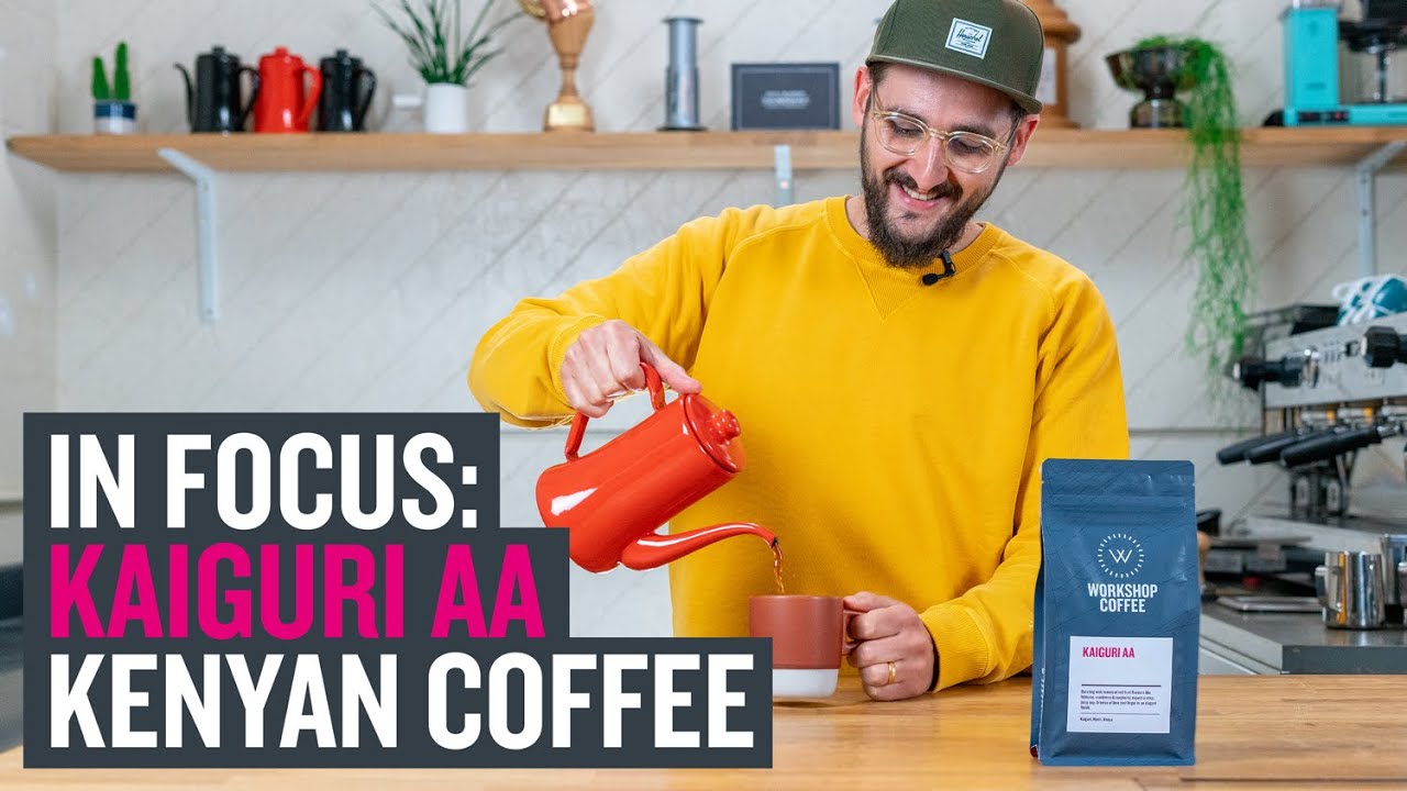 In Focus: Kaiguri AA, A Kenyan Lot Bursting With Red Fruit Flavours.