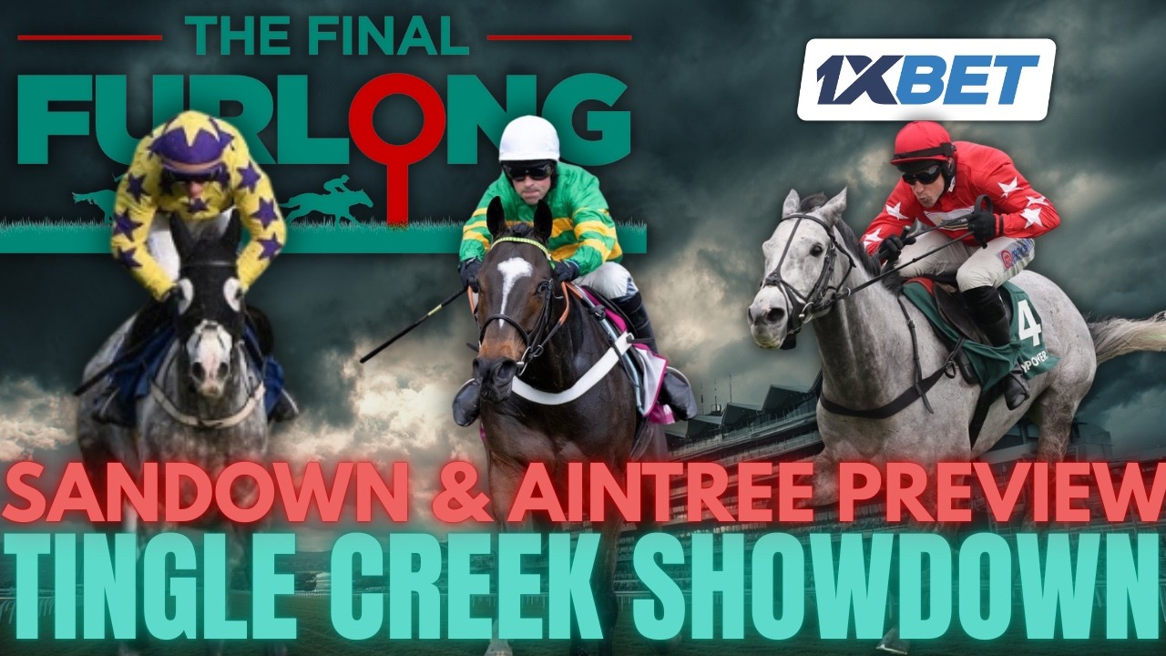 Руководство по ставкам на выходные: Tingle Creek Showdown, Becher Chase Banker, Lulamba Hype и 6/...