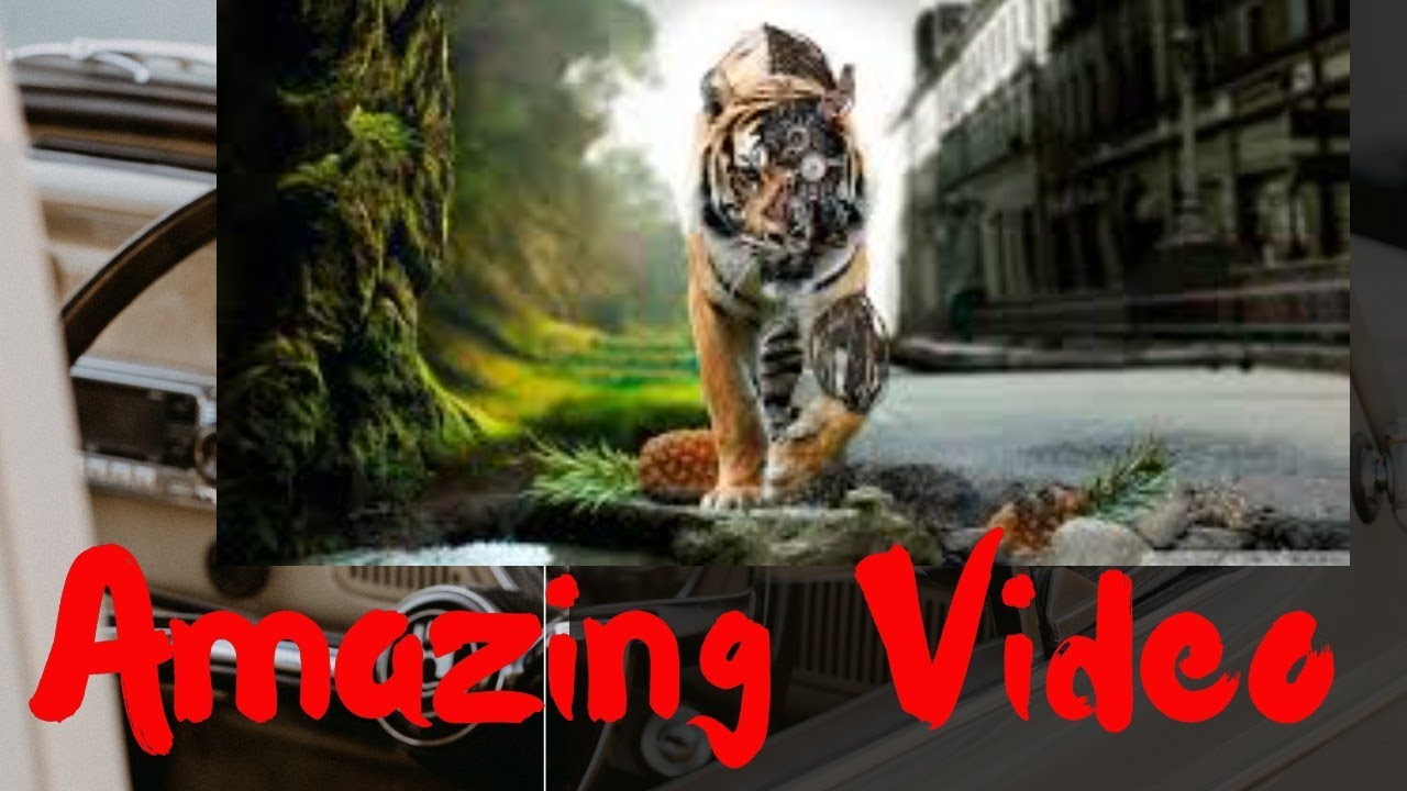 Jalo Media:Amazing video