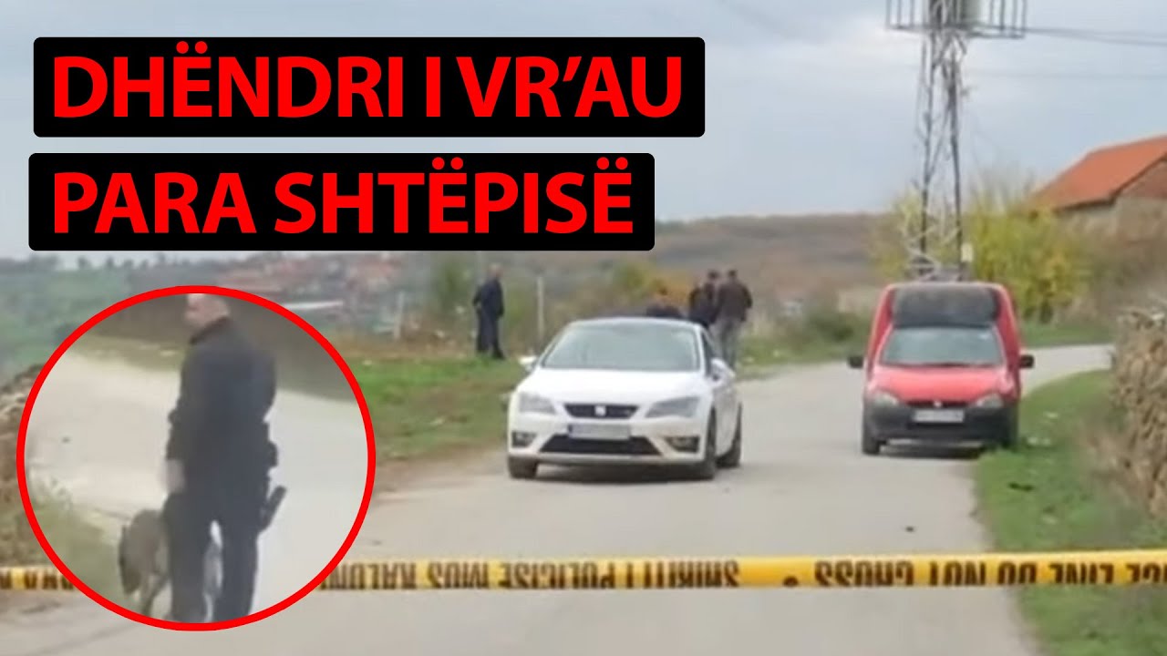 ‘Dhëndri i vr’au para shtëpisë’ - Aktivizohet njësia K9 - Detajet e vrasjes së dy vëllezërve
