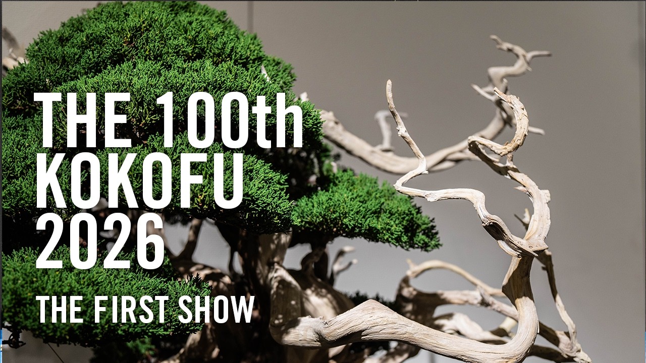 The 100th Kokofu-ten 2026, first show