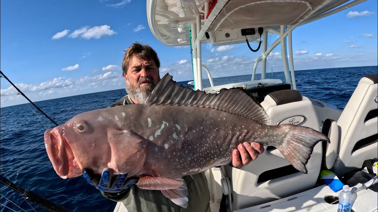 The BEST Way to Catch GIANT Red Grouper in the Gulf of Mexico *Catch, Clean & Cook* 