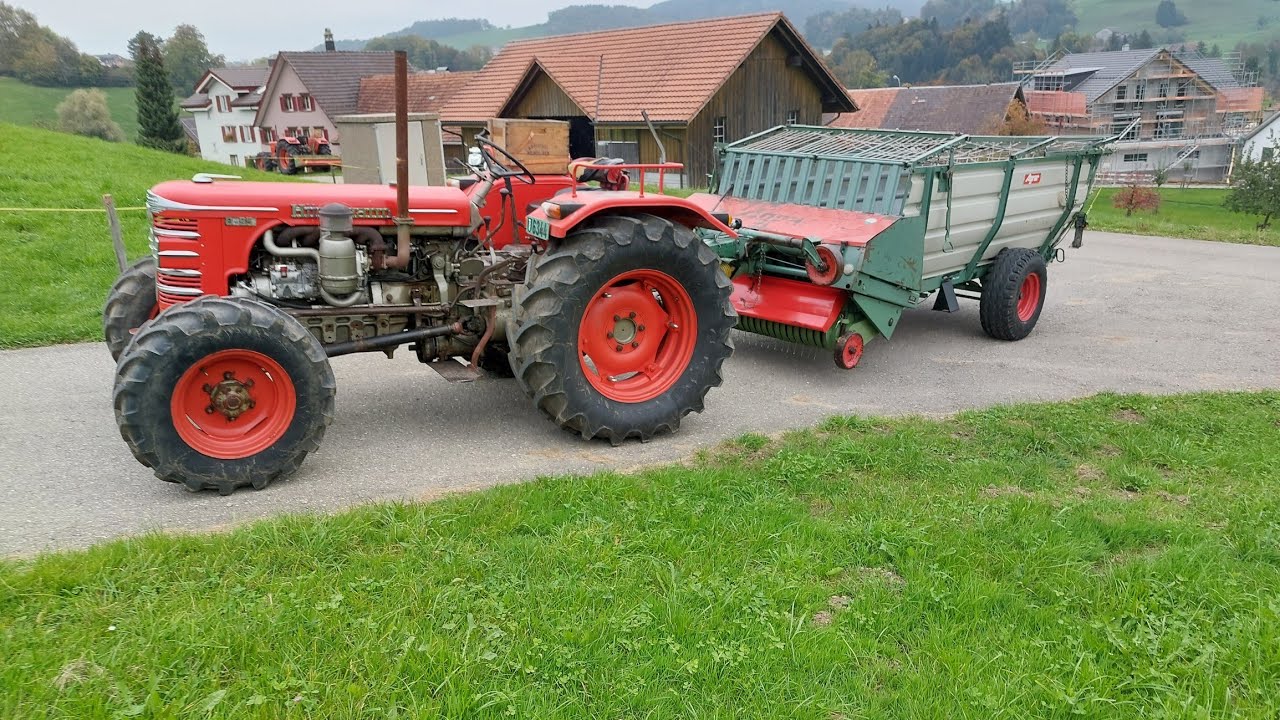 Hürlimann bei Familie Scherrer im 2022