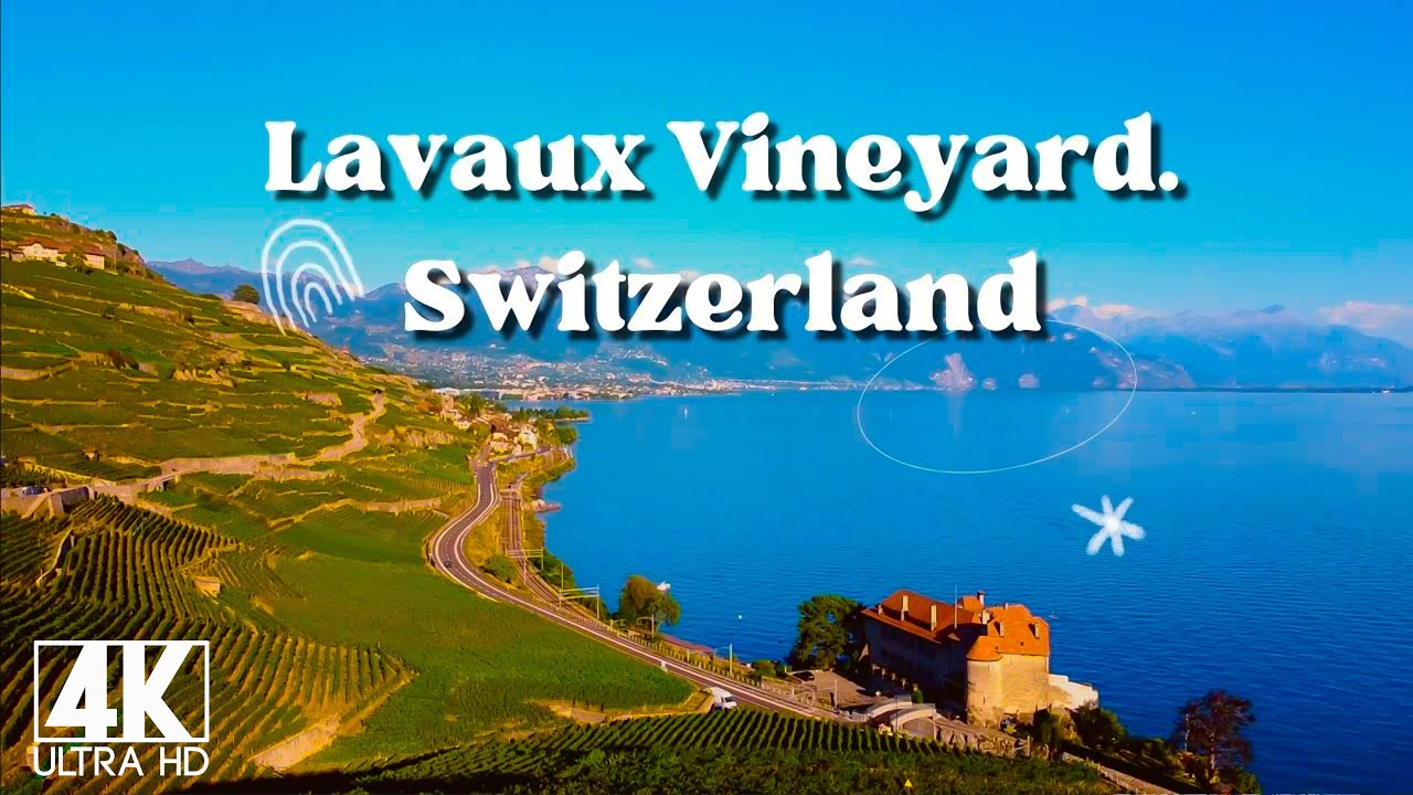 Lavaux Switzerland .Vineyard Terraces on Lake Geneva, Lac Léman Genève Suisse.