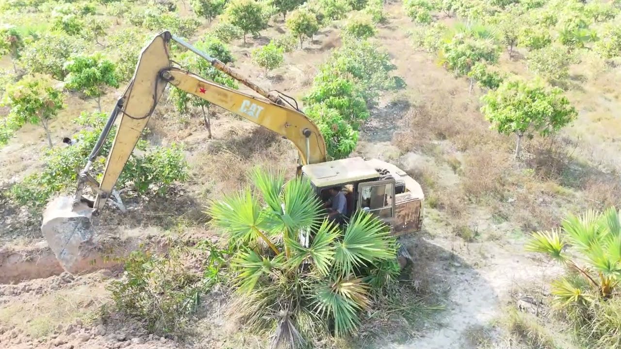 Excavator​កាយដី
