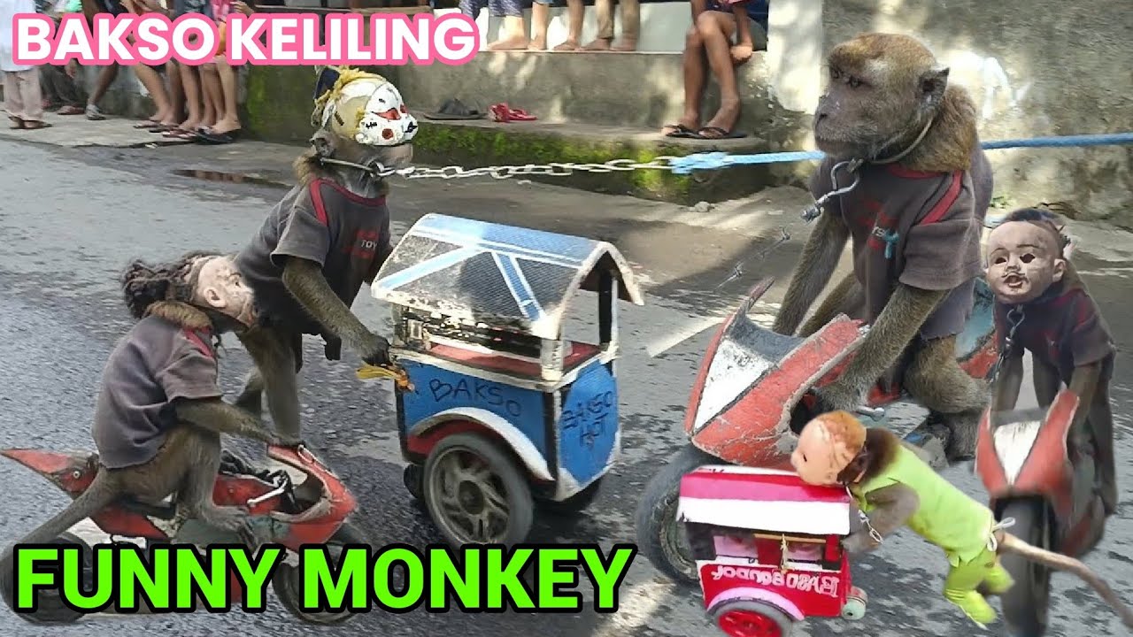 Funny monkey, topeng monyet lucu jual bakso keliling