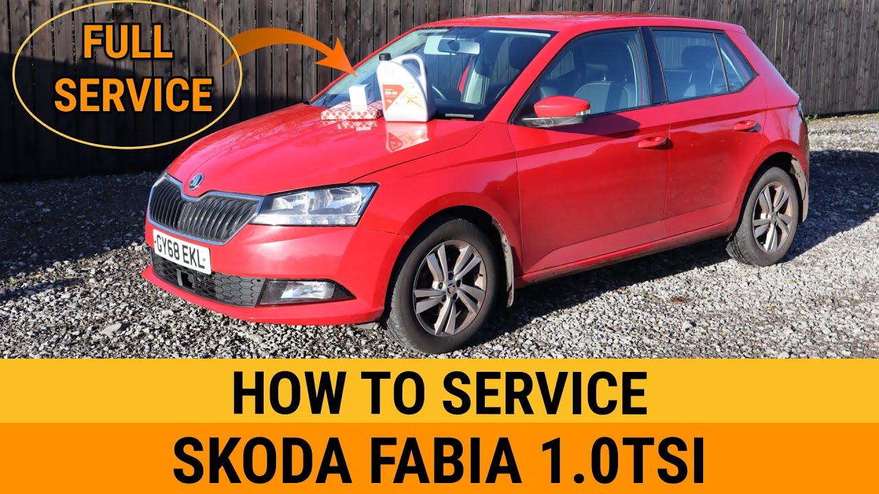 Skoda Fabia air filter oil filter change Audi Seat VW polo Passat Golf 1.0tsi CHZB DKLD full service