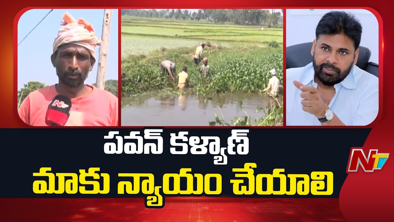 The Pain of Farmers: పూర్తిగా పాడైపోయిన ఏలేరు-పిఠాపురం బ్రాంచి కెనాల్ పంట కాల్వలు | NTV Telugu