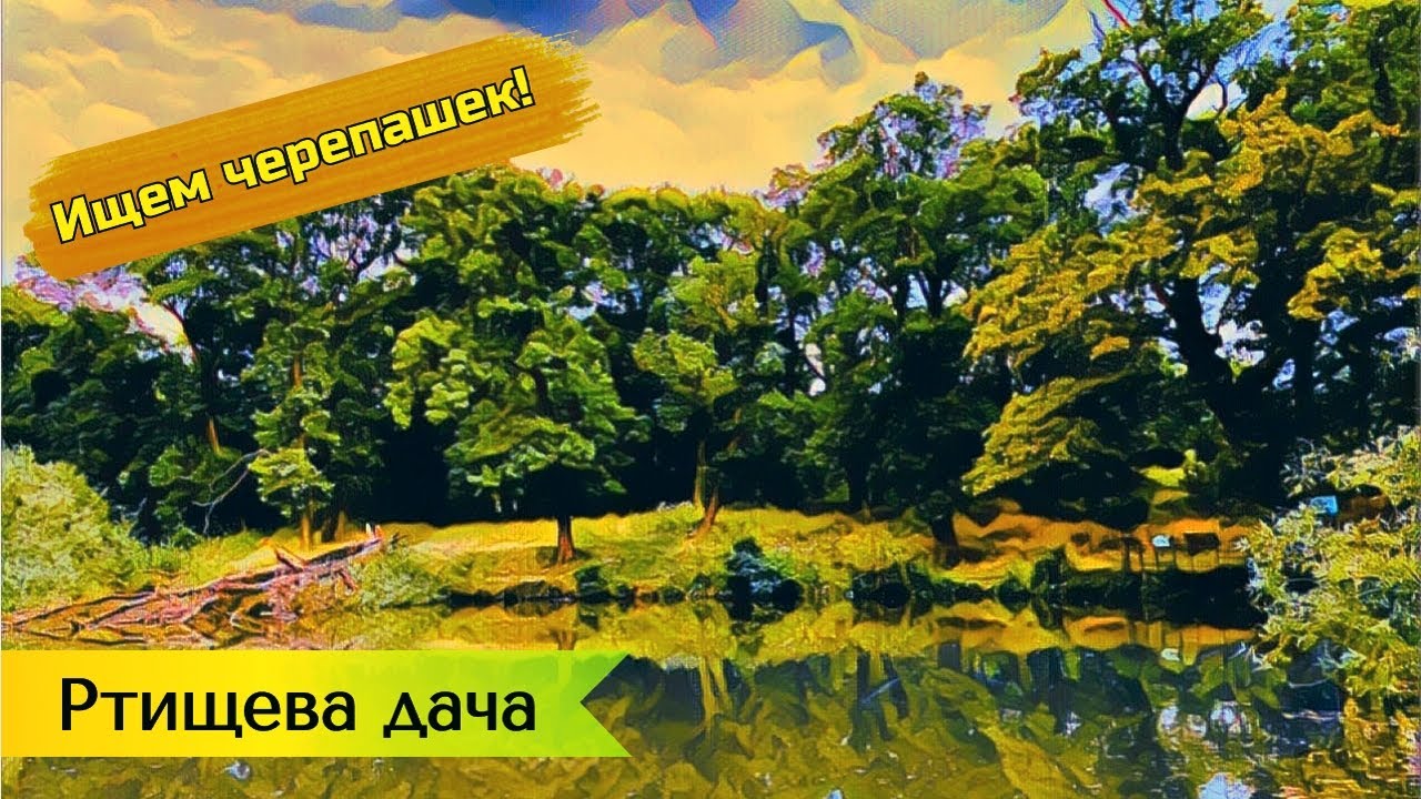 Прогулка по Ставрополю | Ртищева Дача и ее обитатели