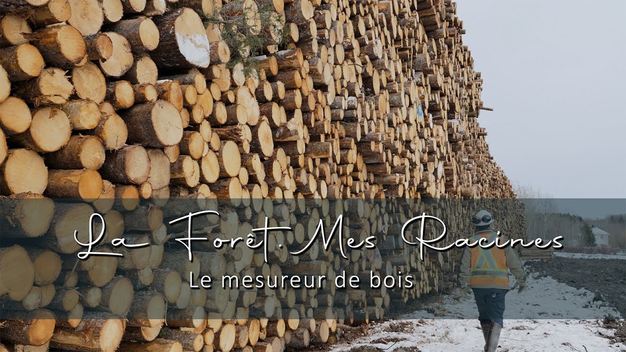 La forêt, mes racines:  Le mesureur de bois