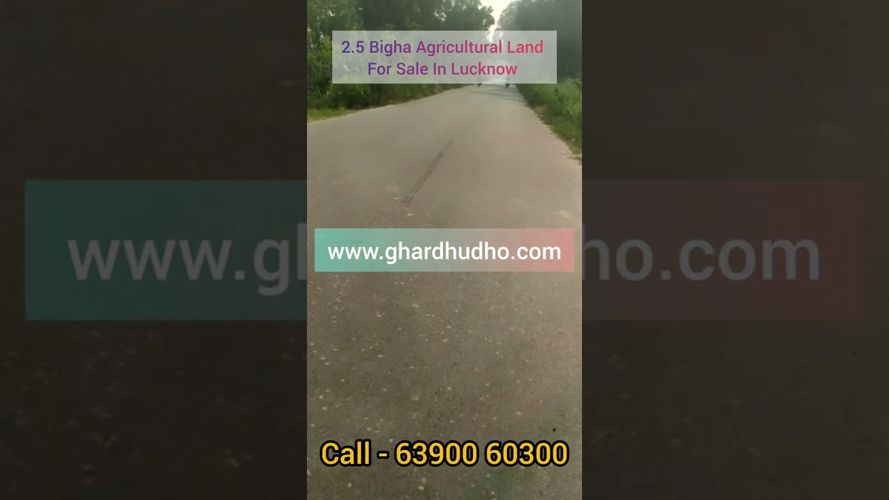 2.5 Bigha Agricultural Land For Sale In Lucknow