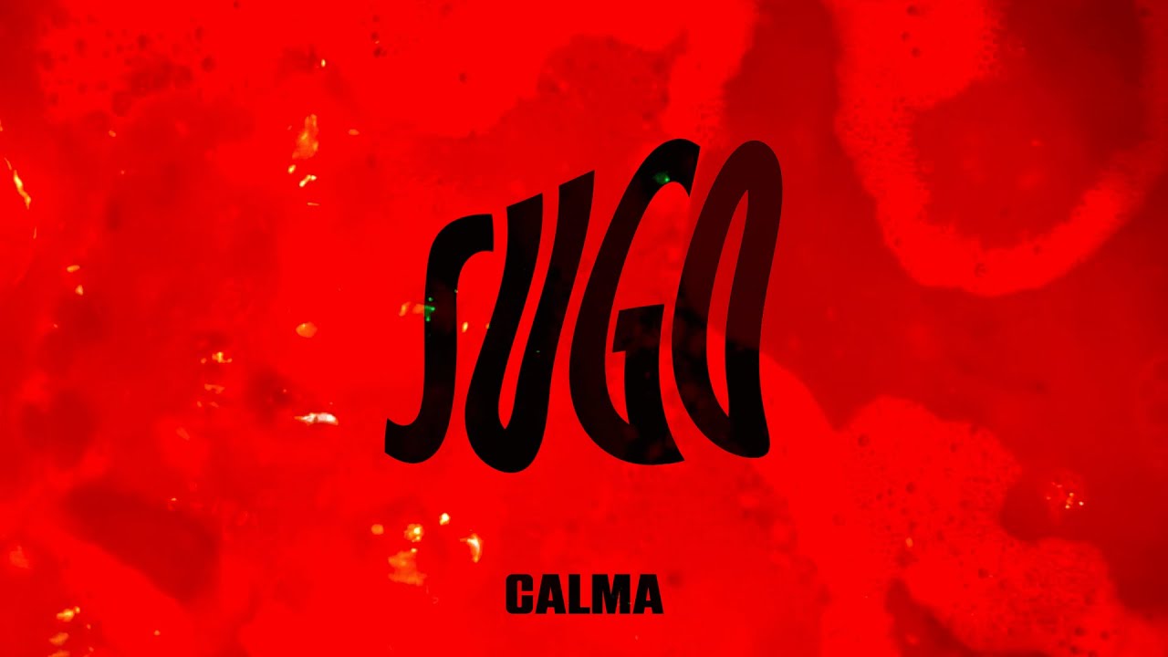 Calma - mastino (Visual)