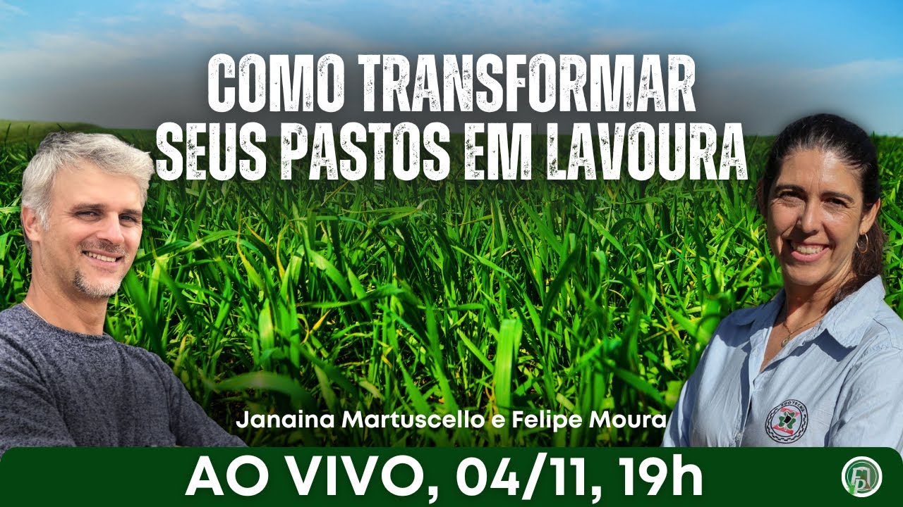 Como transformar seu pasto em lavoura