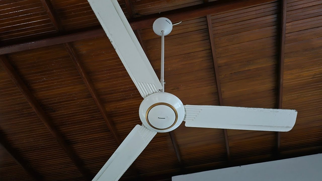 56