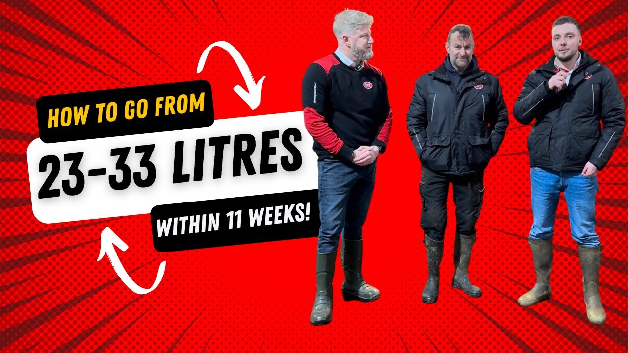 23 litres to 33 litres milk uplift in 11 weeks!