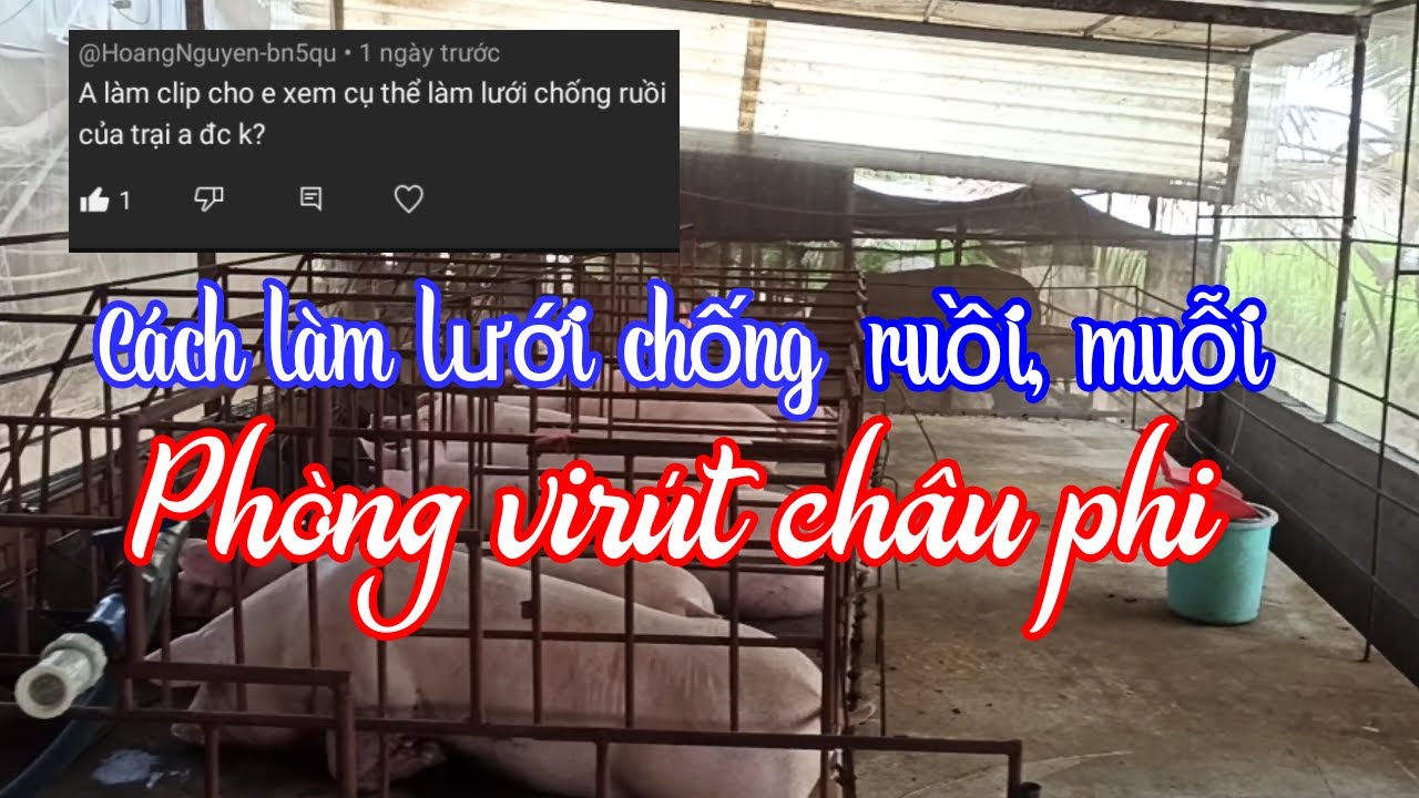 Cách làm lưới chống ruồi, muỗi|Phòng chống virút dịch tả heo châu phi☎️0372225255Chăn nuôi làm giàu