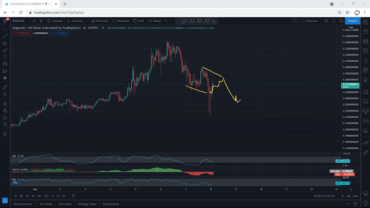 Dogecoin Technical Analysis for May 8, 2021- DOGE - HITBTC CHART