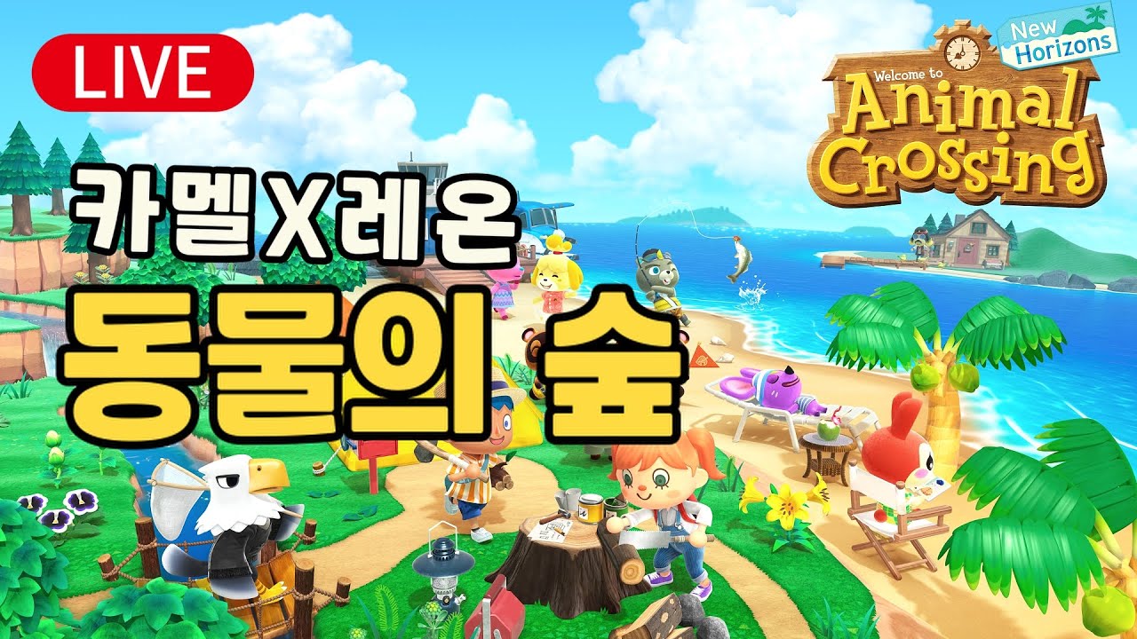[동물의 숲] 동숲 6일차 캠핑장 오픈한 것만 보고 잘까요? 닌텐도 스위치2 [Animal Crossing]