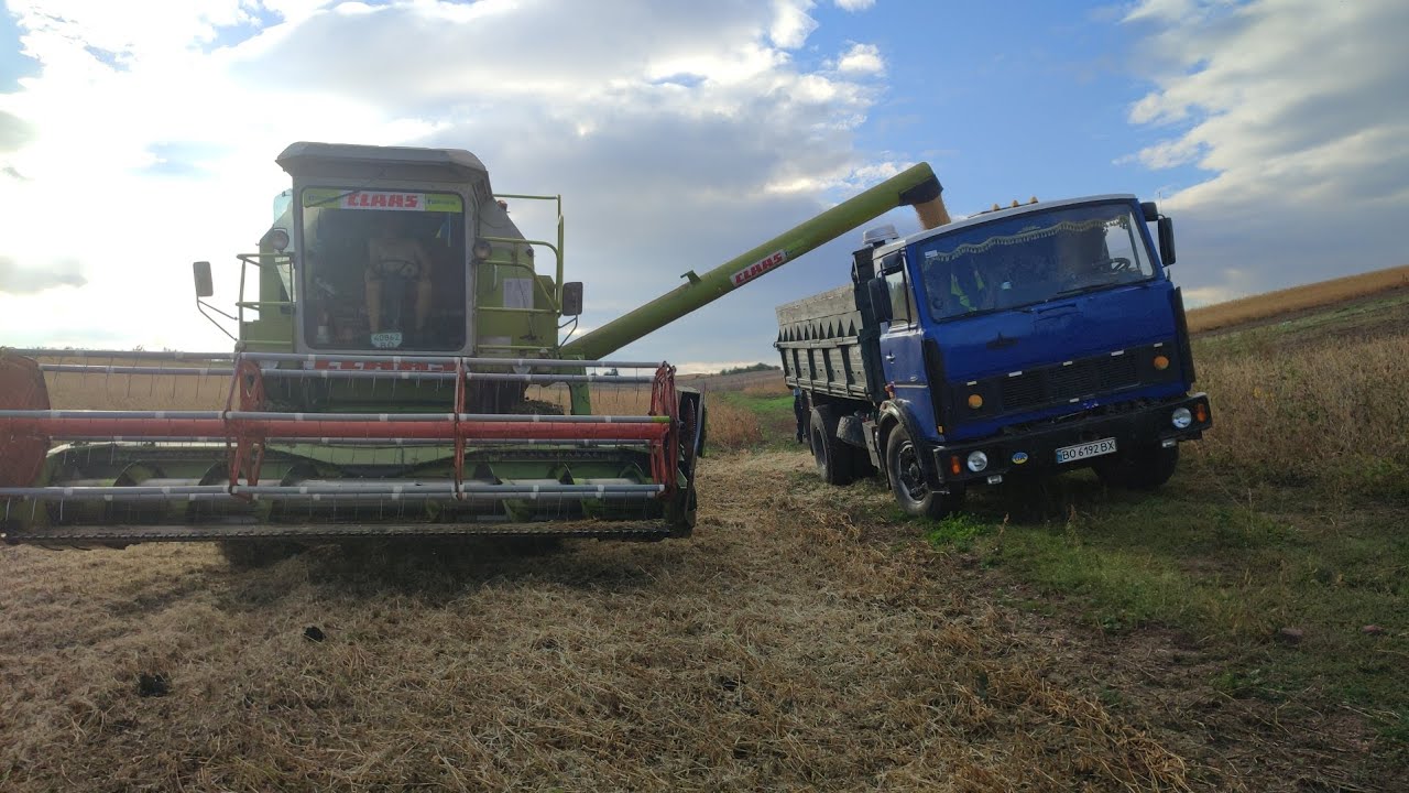 МОЛОТИМО СОЮ. CLAAS DOMINATOR 86. 27.09.2024