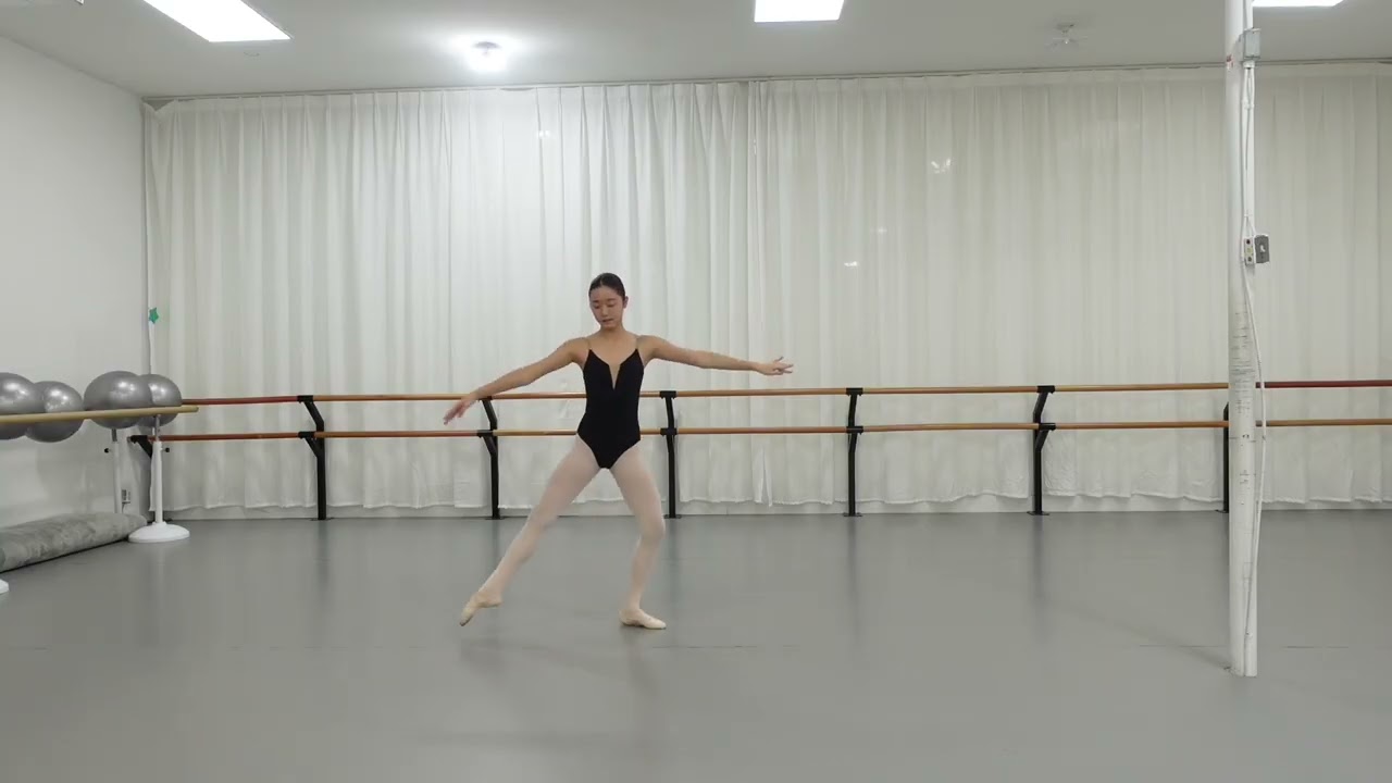 pirouettes en dedans and pose pirouettes