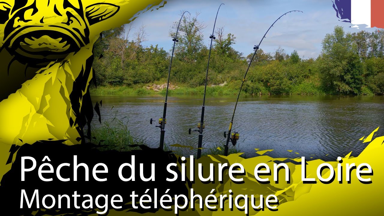 Pêche du silure en Loire au montage téléphérique
