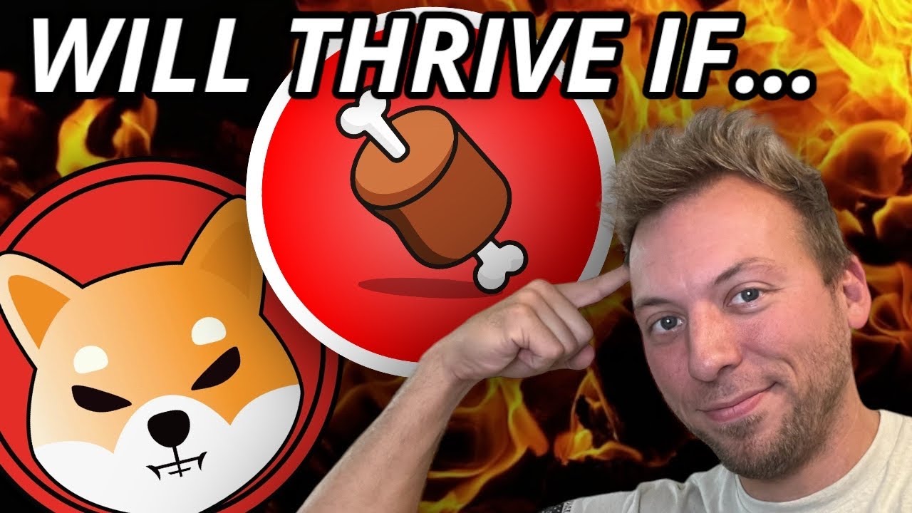 SHIBA INU BONE - BOTH WILL THRIVE IF THIS HAPPENS!!!