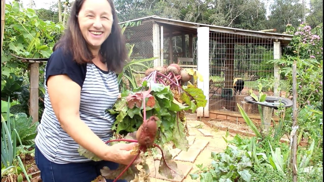 COMO FAÇO A SALADA DE BETERRABA DURAR MAIS