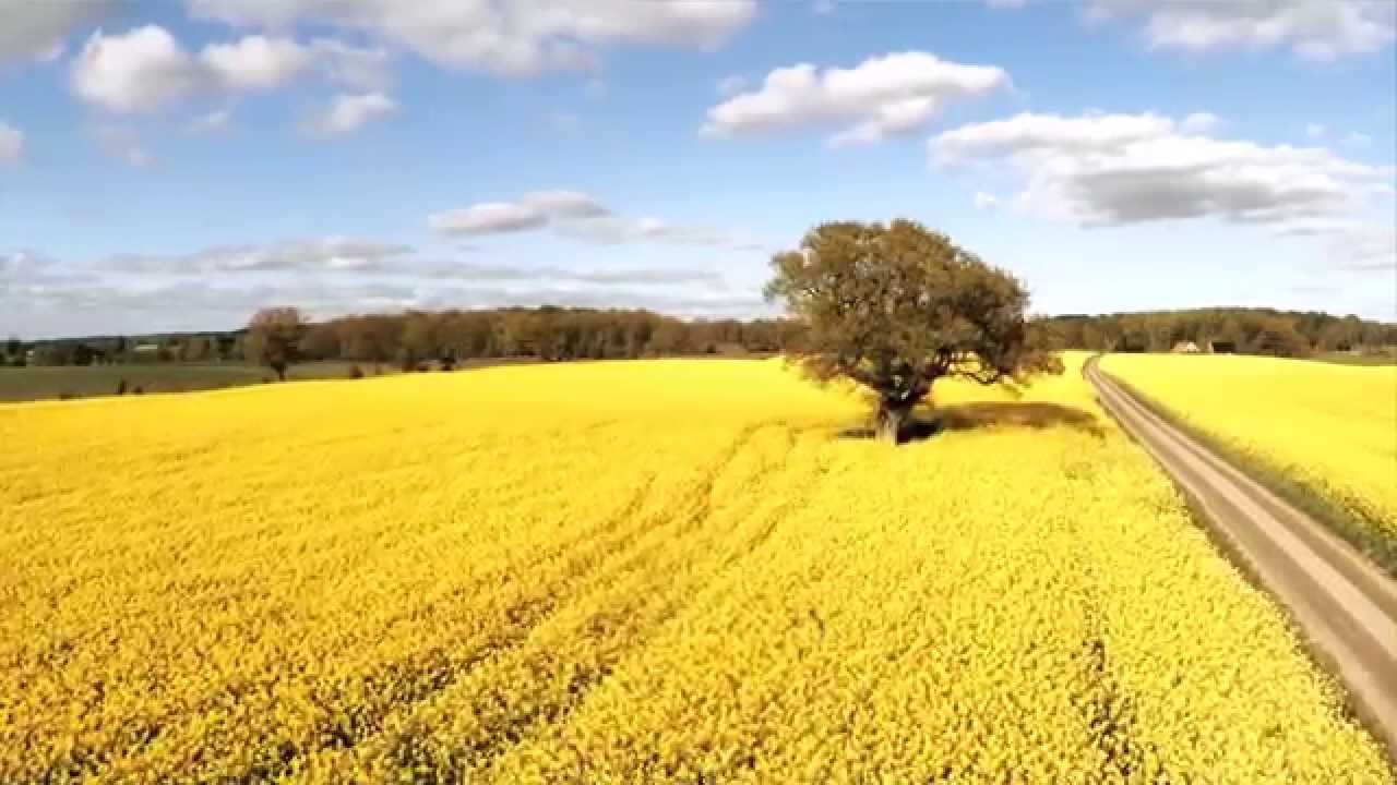 Rypsipellolta leivän päälle - Margariinin valmistus