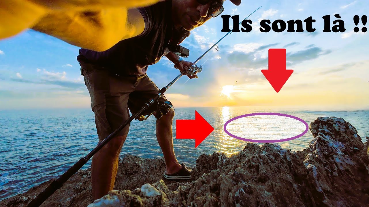 PÊCHE à LA BOULE d'ALU