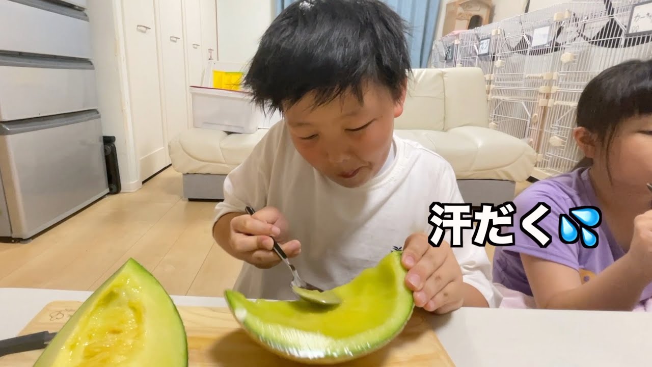 大好物のメロンを自分で切って一生懸命食べるこころくんw【ココロマン普段の様子】
