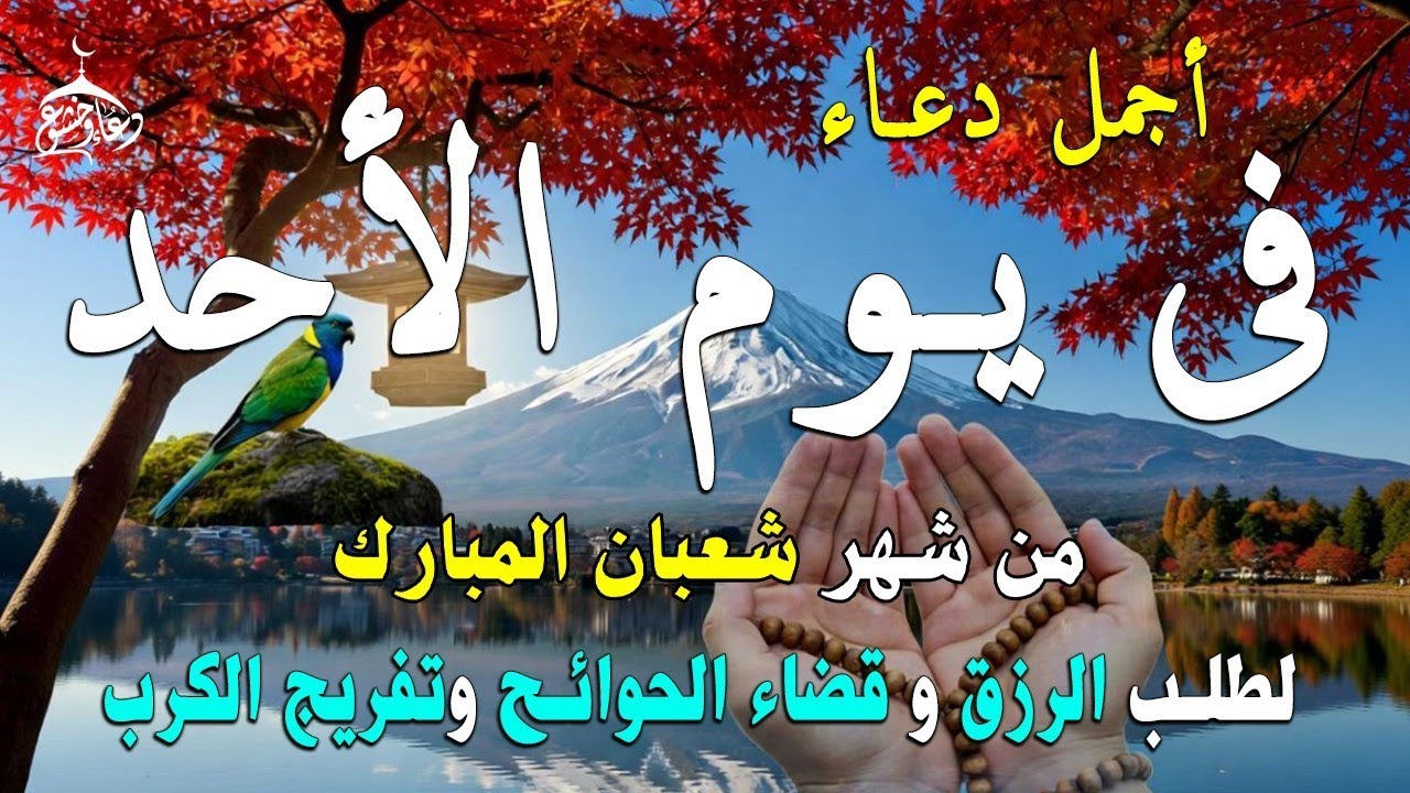 دعاء فى يوم الثلاثاء المستجاب دعاء يوم 1 من شهر شعبان للرزق والشفاء العاجل وقضاء الحوائج 🤲(4k)