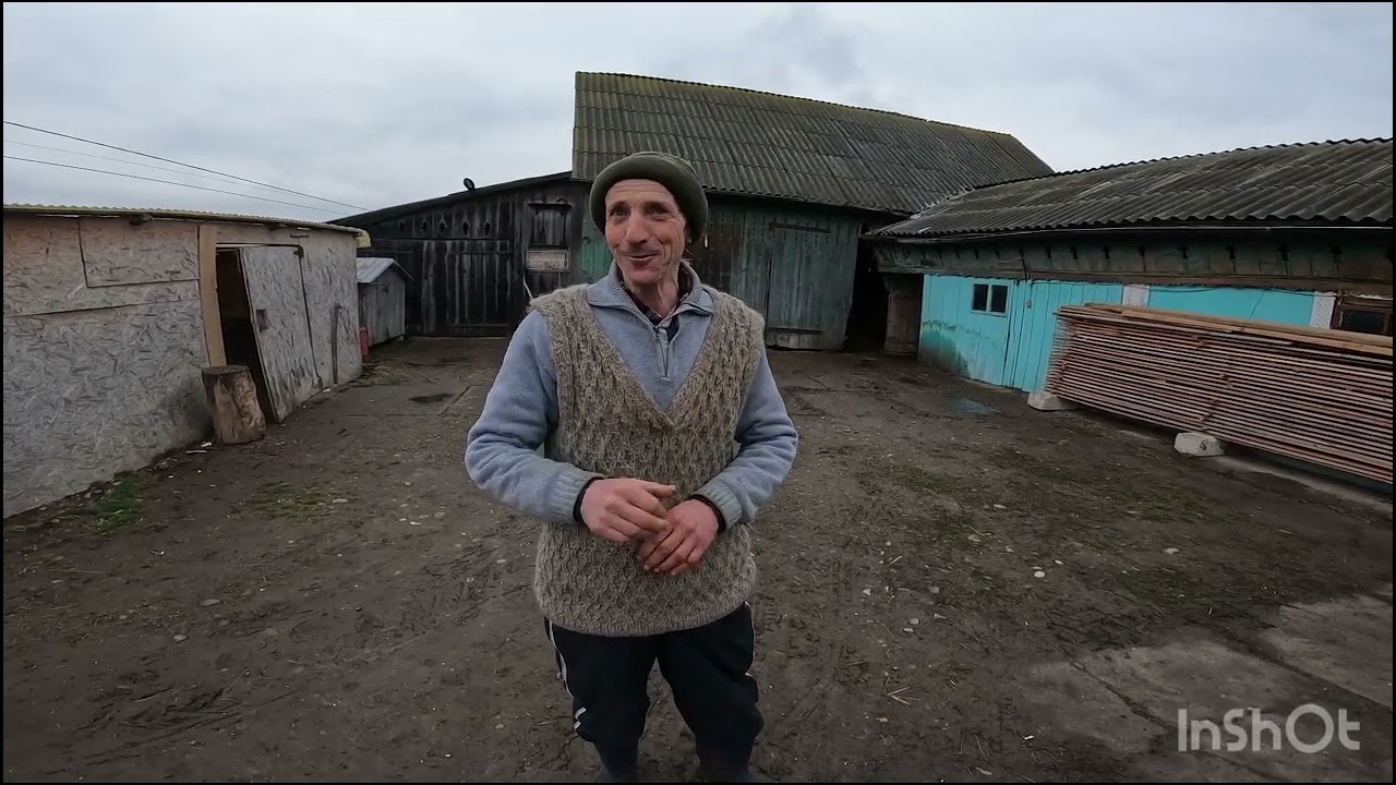 FERMĂ DE OI BUCĂLAI ȘI CÂINI   DE BUCOVINA A DL VLADIMIR BAITAN-MIRU DIN VASCAUȚI.BUCOVINA.SV