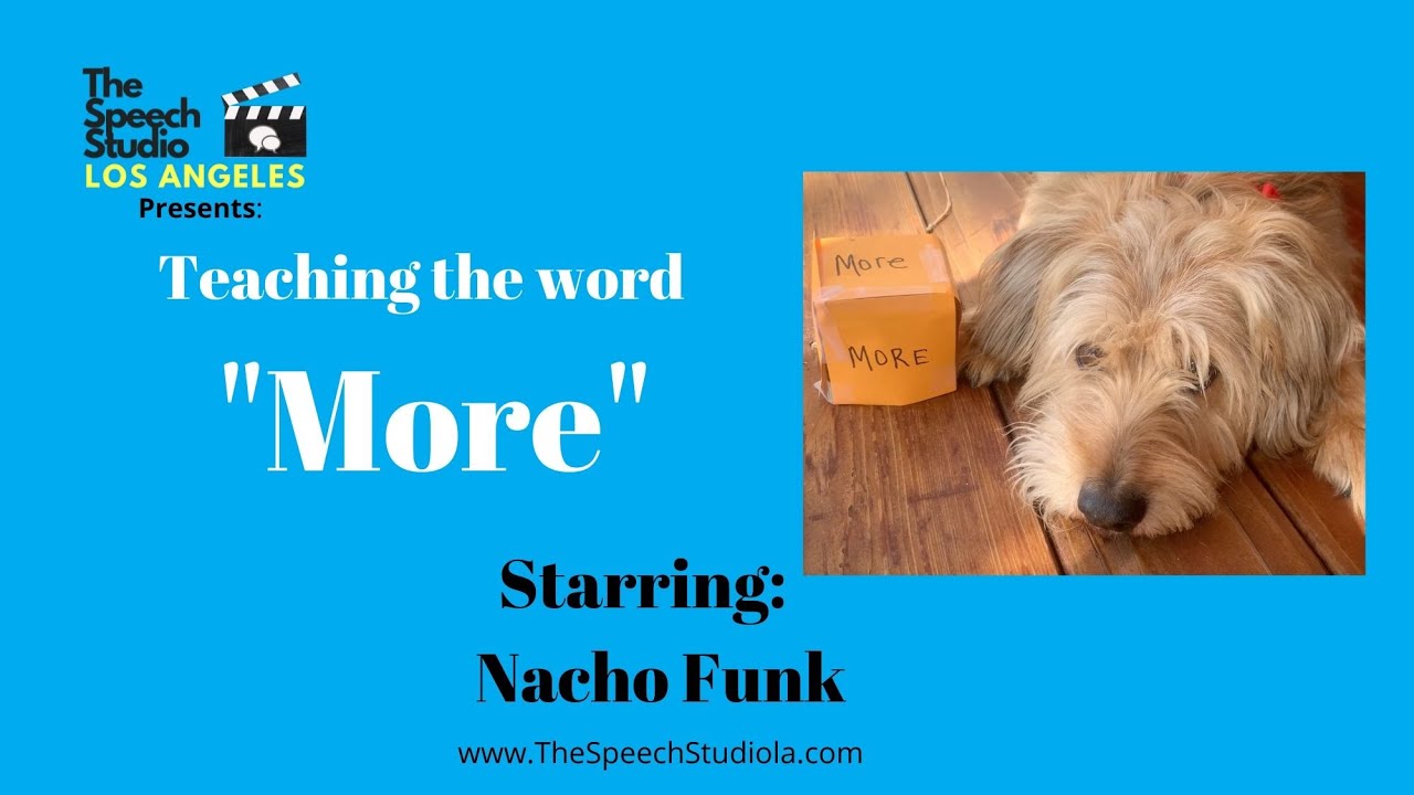Teaching The Word 