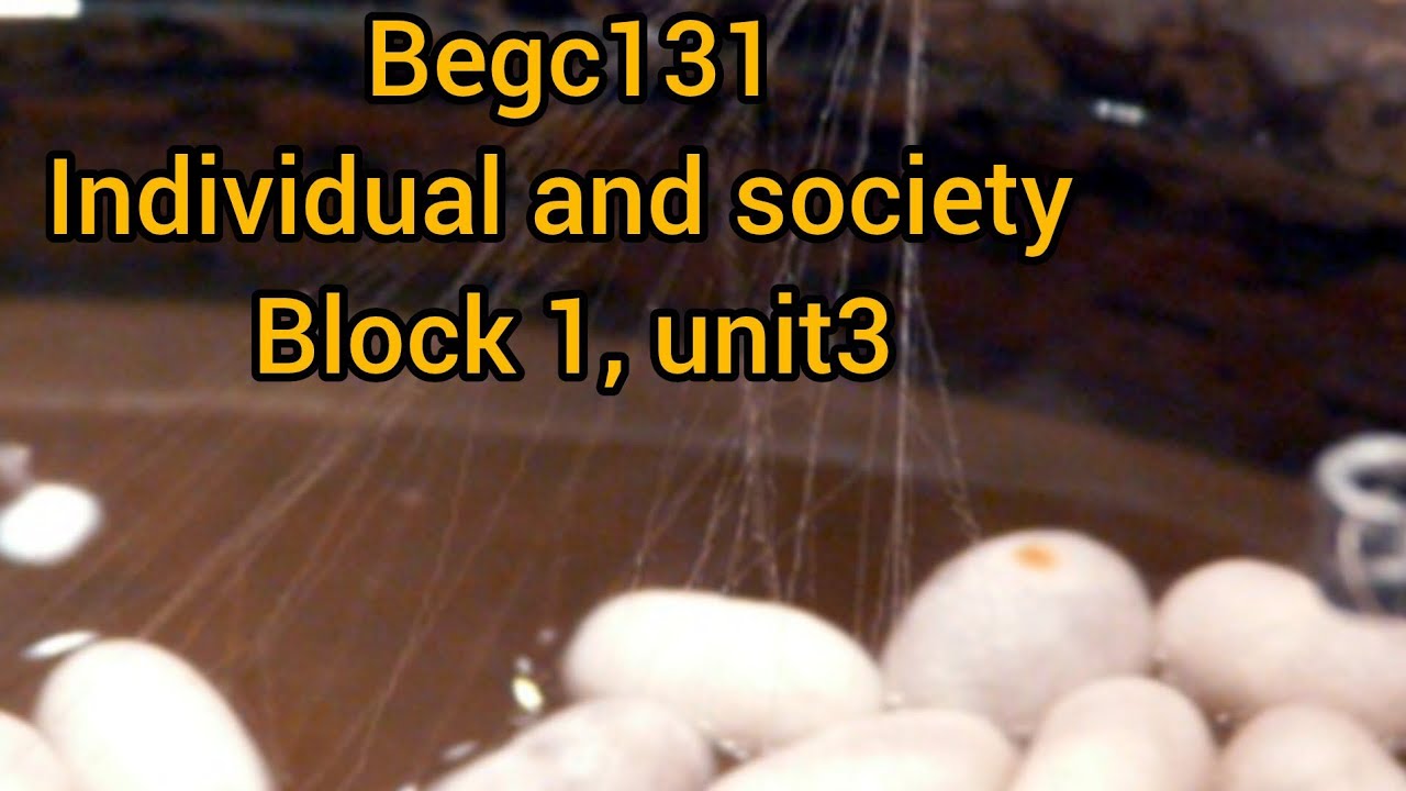 Begc131 from a cocon with hope ki summary