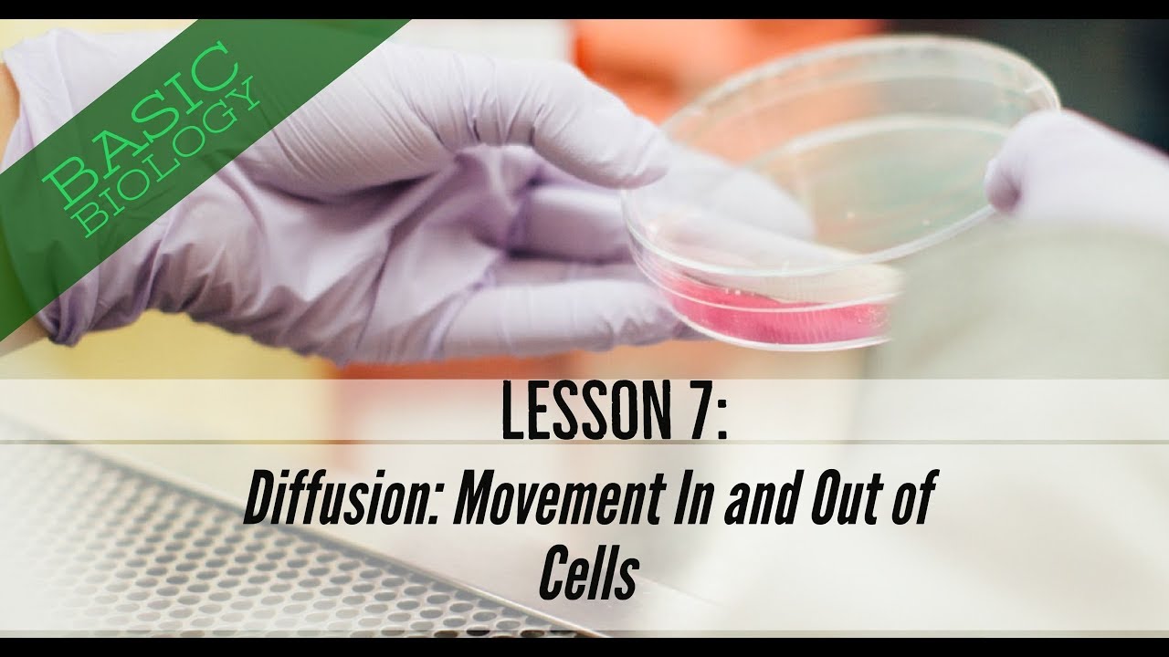 Basic Biology. Lesson 7: Diffusion - Movement In And Out Of Cells (GCSE Science)