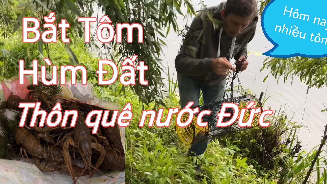 Hú hồn hai vợ chồng gặp bão khi đi bắt tôm hùm đất | Thôn quê nước Đức | Cuộc sống ở Đức