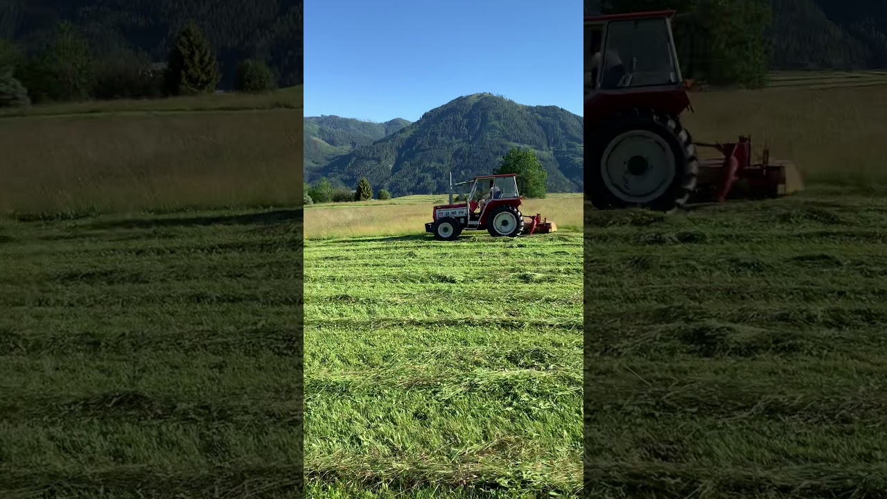 Mähen mit Lindner 1500 A & Pöttinger SM 2 und Case IH Farmall 75 & Pöttinger Novadisc 225