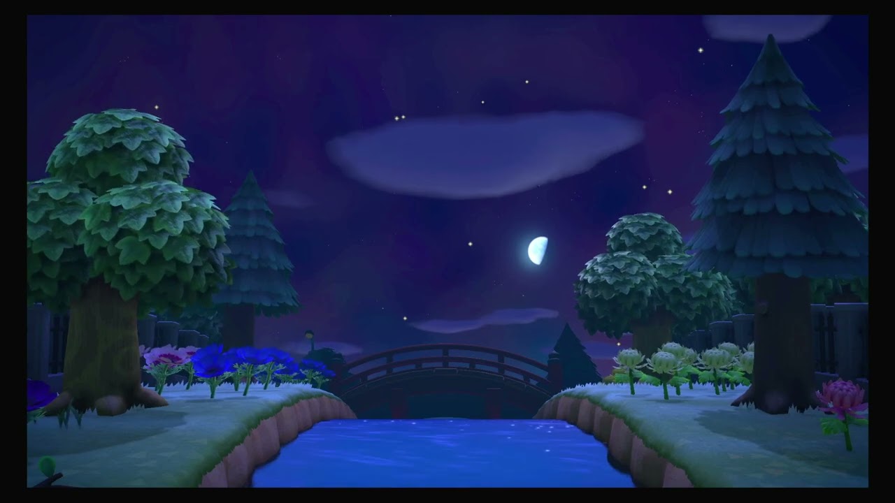 Watching Heavy Shooting Stars In Pawpoint