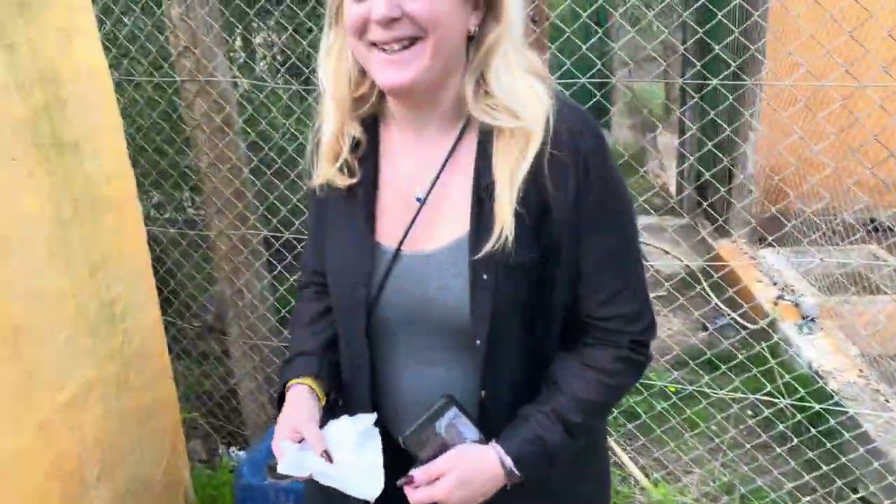 Friguia Zoo Tunisia feeding the lion cubs 