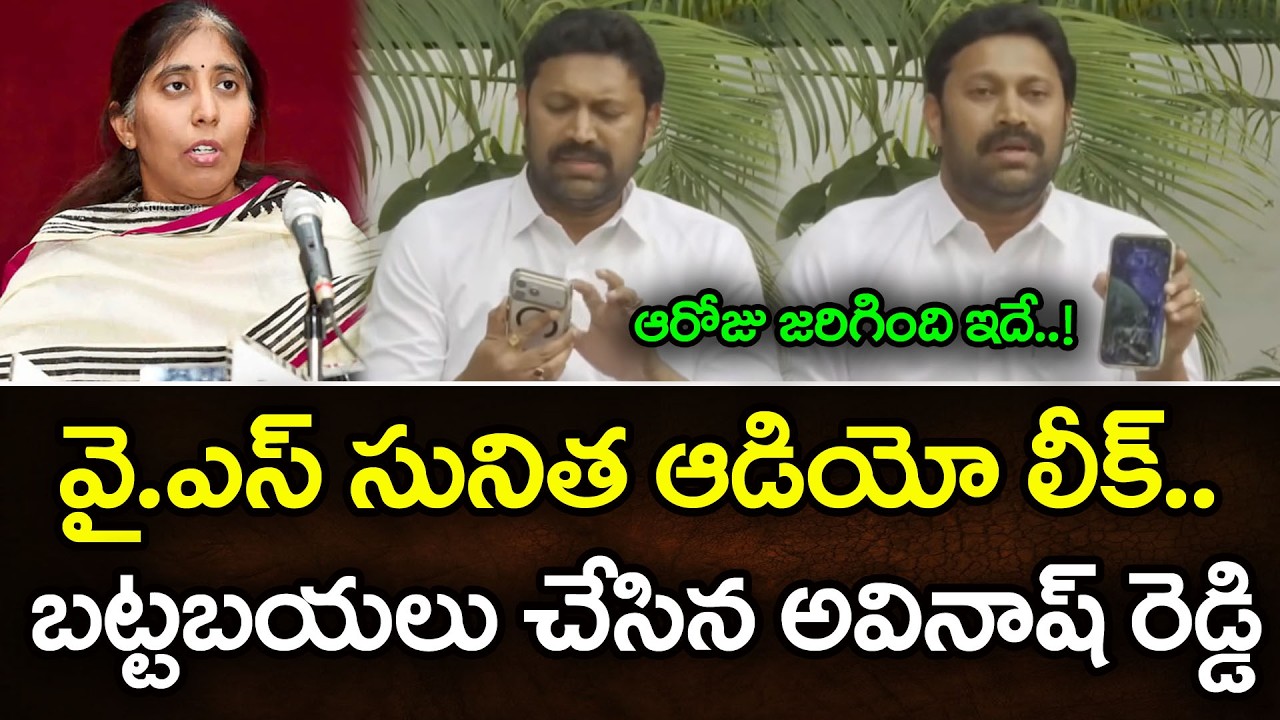 సునీత ఆడియో లీక్ | YS Avinash Reddy Big Shock To Sunitha Reddy : PDTV News