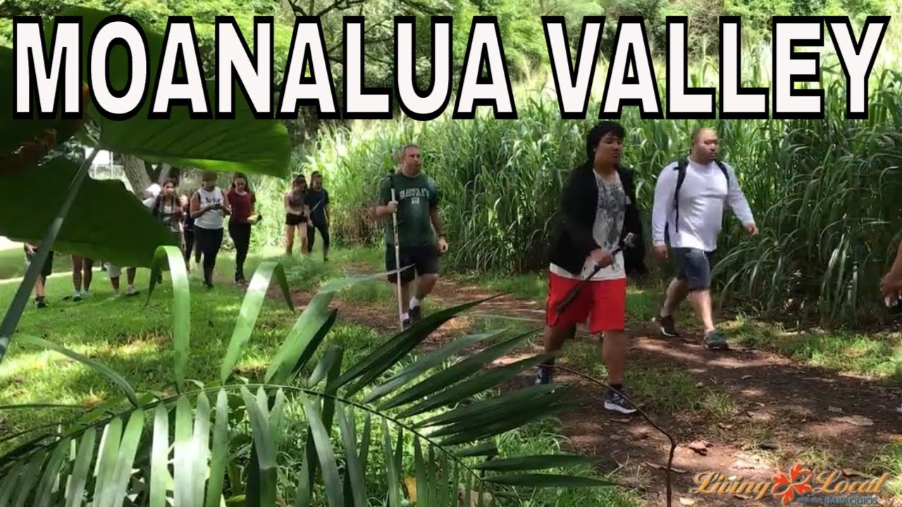 Discover Sacred Healing on a Moanalua Valley Hike